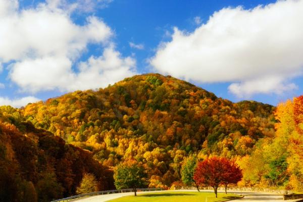 Tree-covered mountain with bright autumn colors under blue sky and clouds