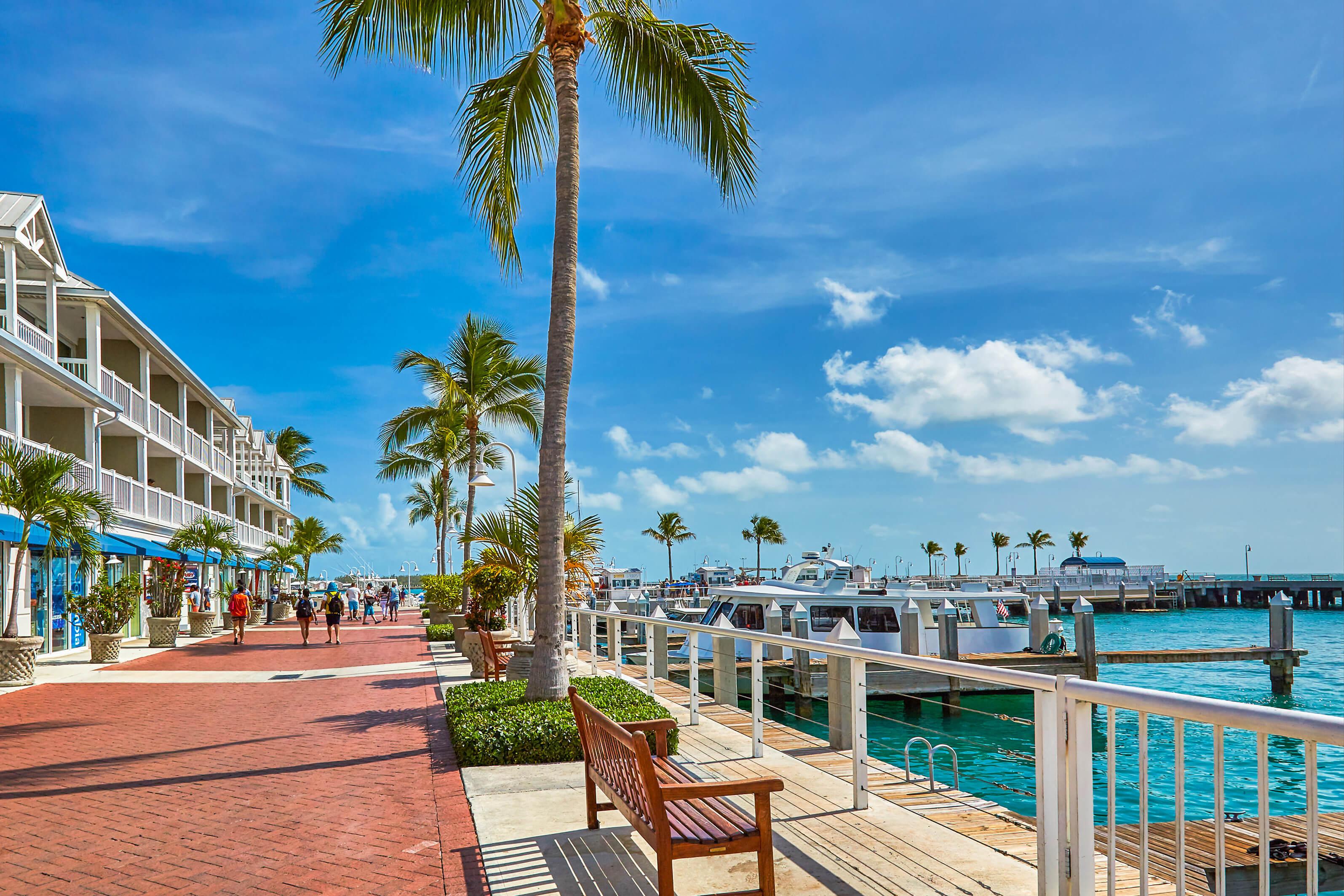 A dock beside a building in Key West, Florida, framed by lush palm trees under a clear blue sky