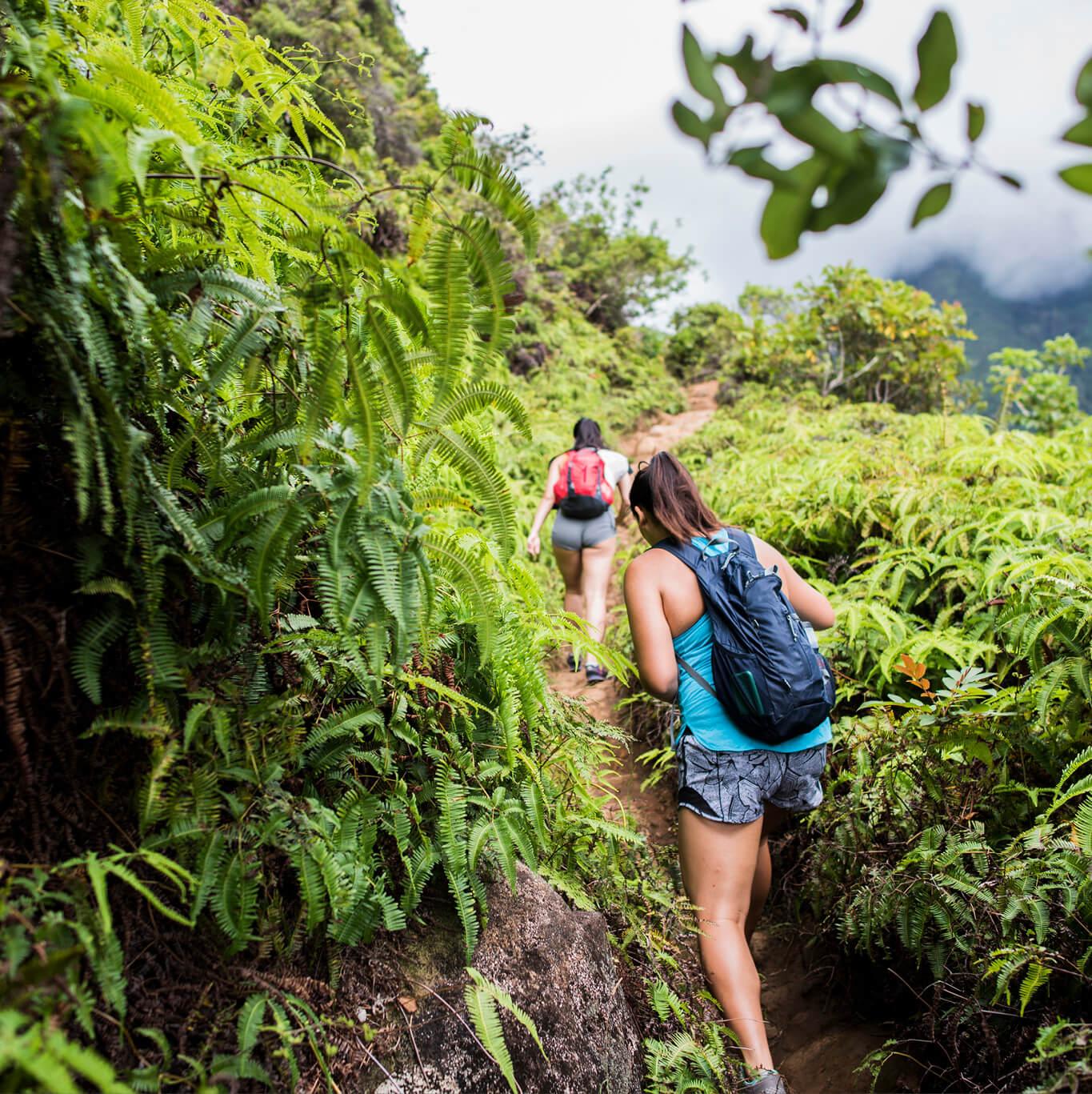 Two women hike along a path in Maui