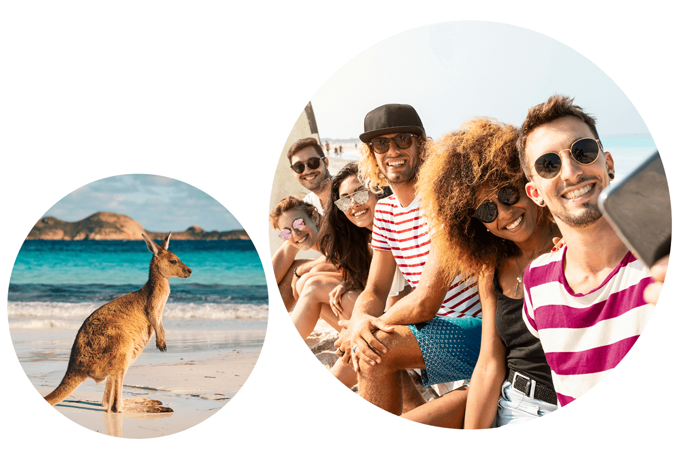 Kangaroo on a sandy beach and friends taking a selfie during a coastal vacation.